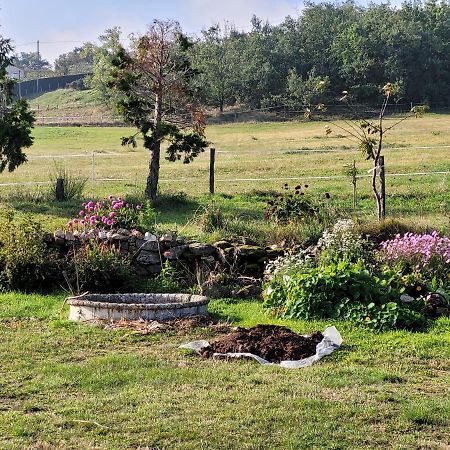 Ferme De La Combe Bed & Breakfast Saint-Jeure-d'Ay Luaran gambar