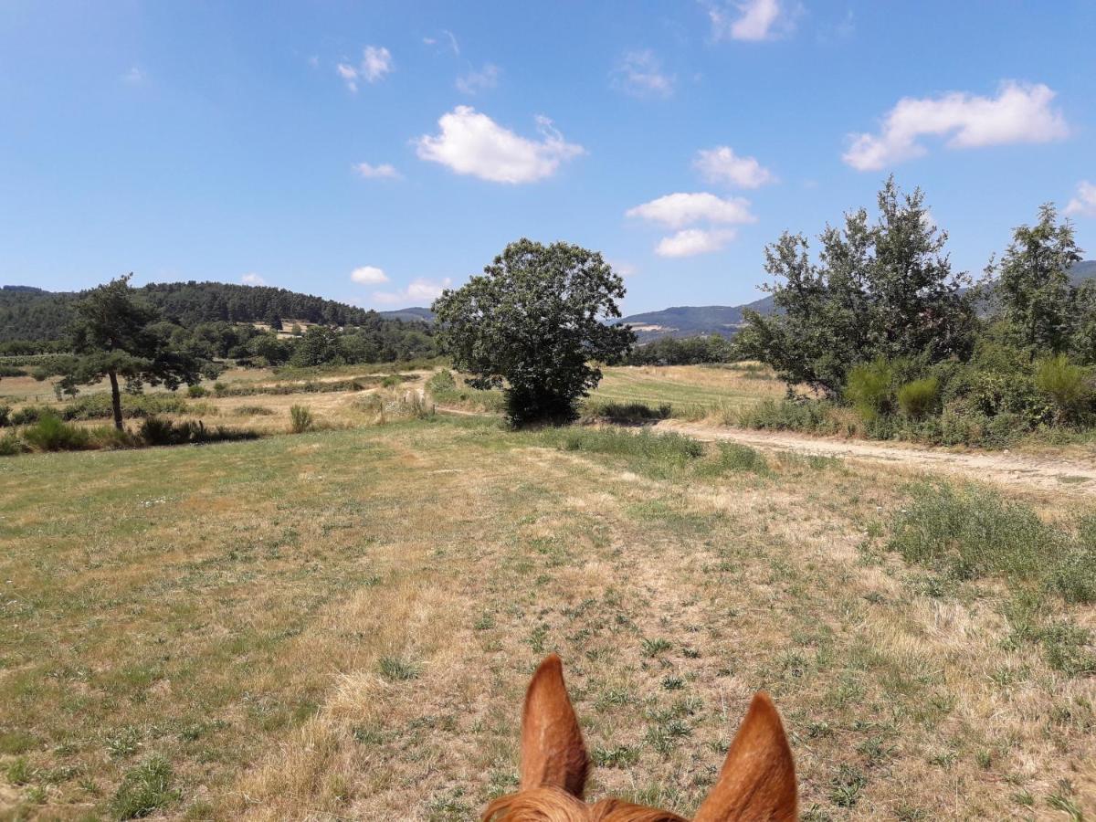 Ferme De La Combe Bed & Breakfast Saint-Jeure-d'Ay Luaran gambar